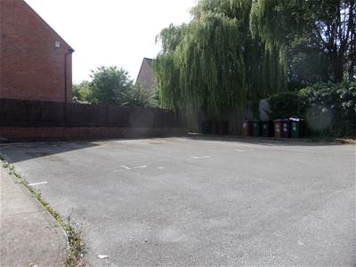 Picture 11